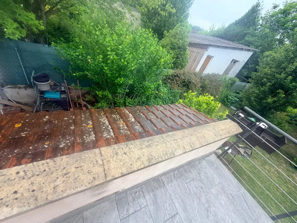 demoussage toiture  (2)