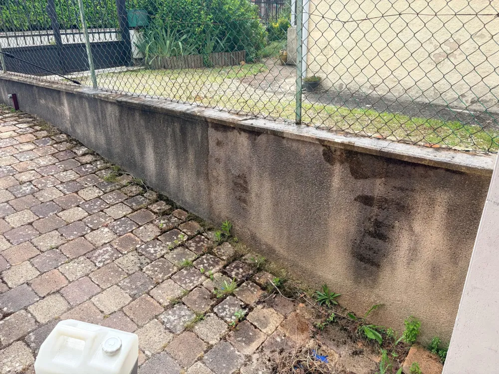demoussage toiture  (6)