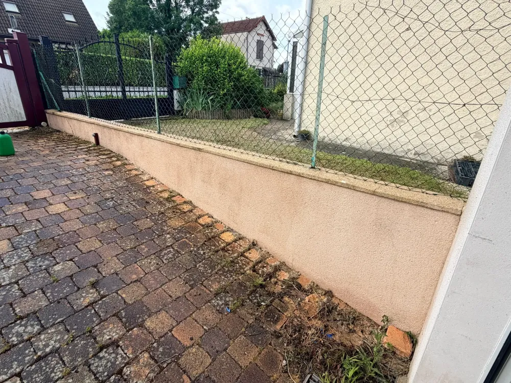 demoussage toiture  (8)