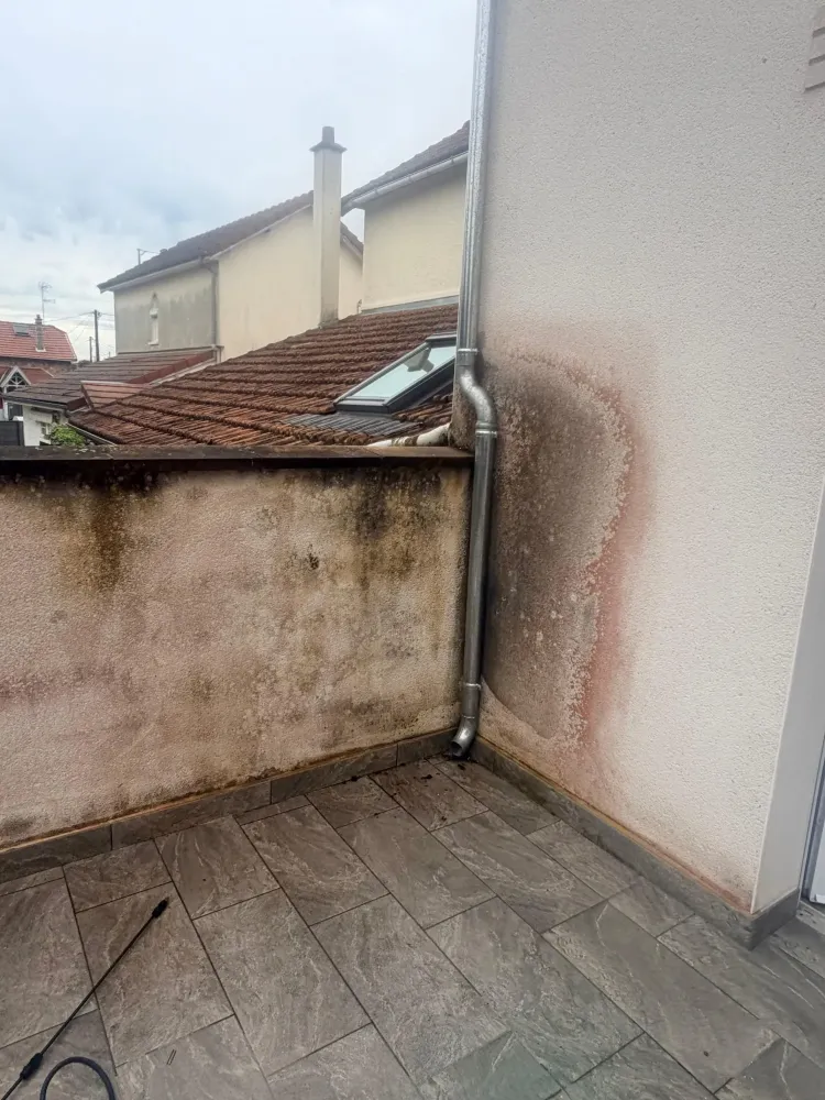 demoussage toiture  (9)